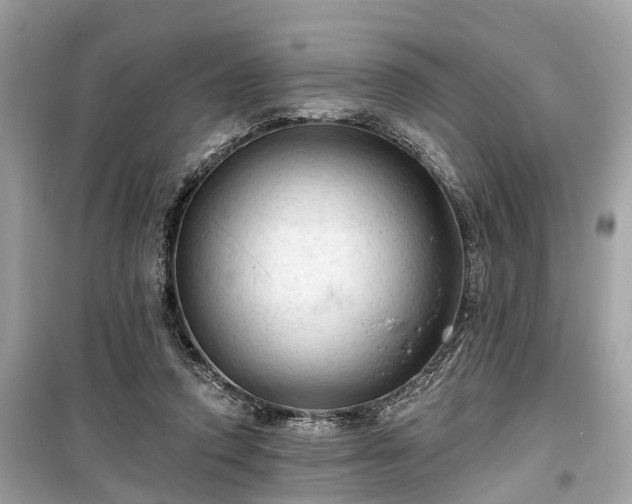 X0000099420354200805161051