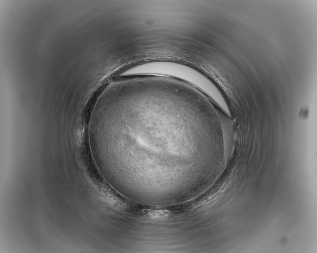 X0000099420355200805161051