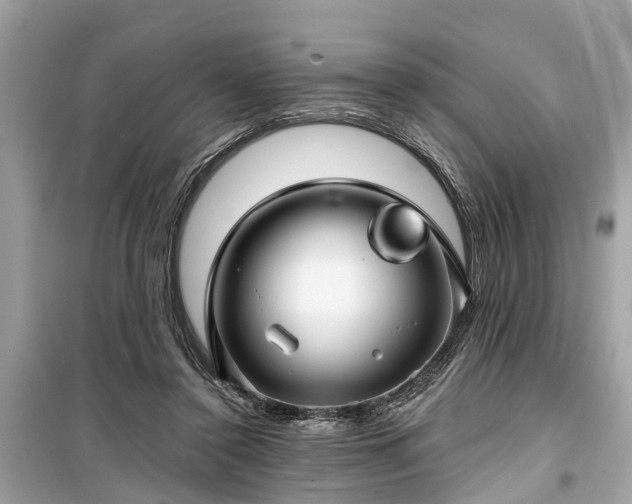 X0000099420356200805161051