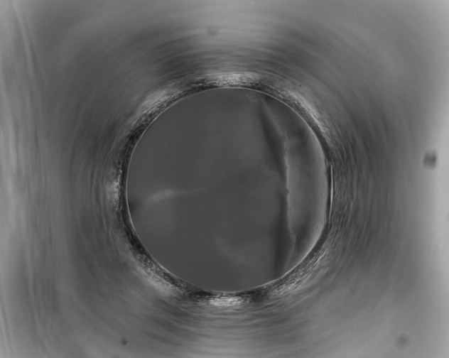 X0000099420357200805161051
