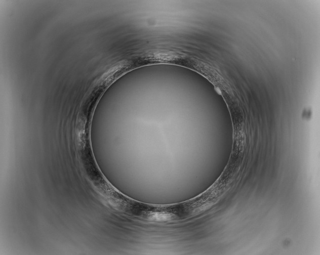 X0000099420360200805161051