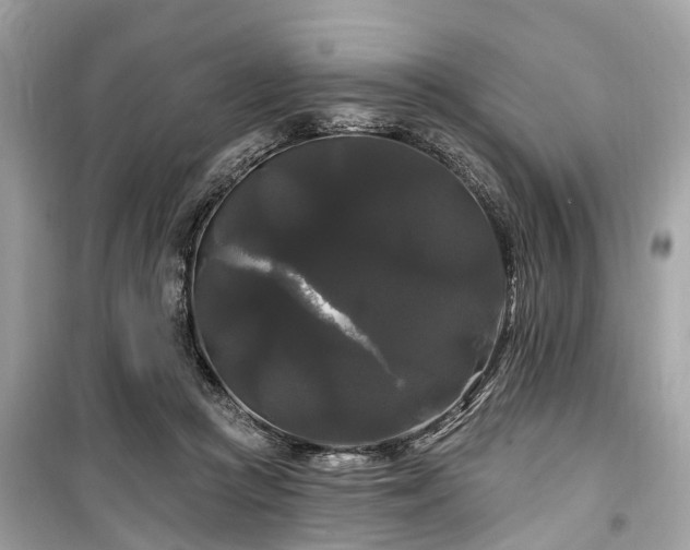 X0000099420361200805161051
