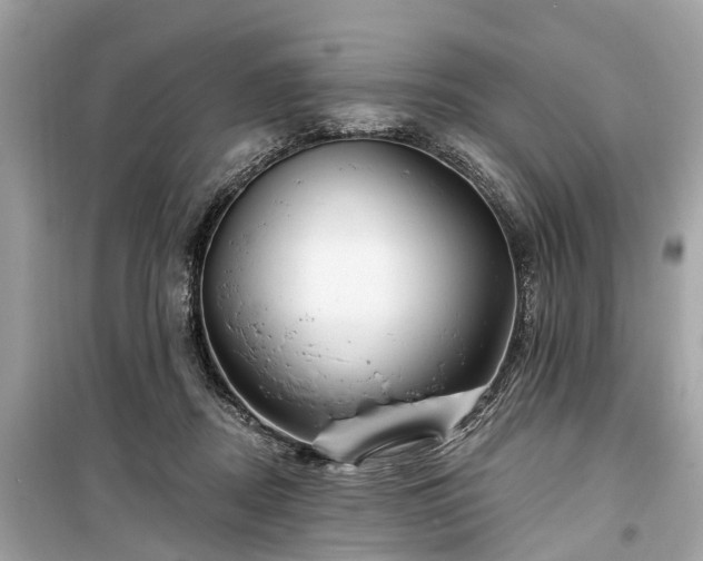 X0000099420362200805161051