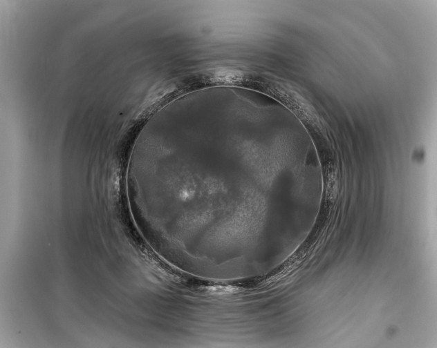 X0000099420363200805161051