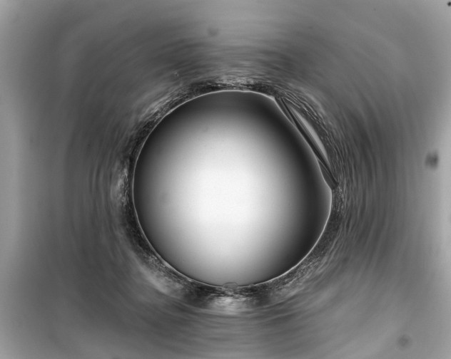 X0000099420364200805161051