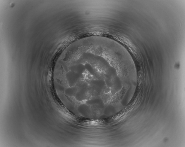 X0000099420365200805161051