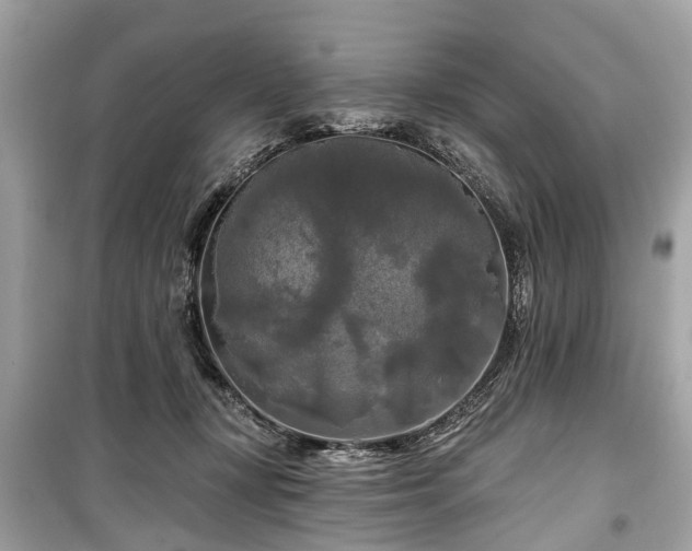 X0000099420367200805161051