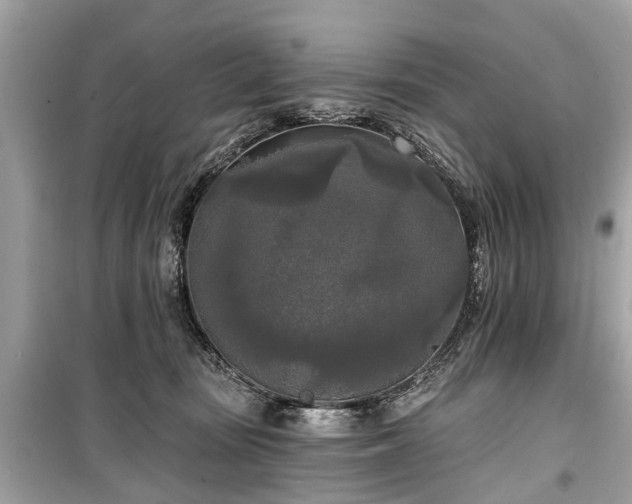 X0000099420371200805161051