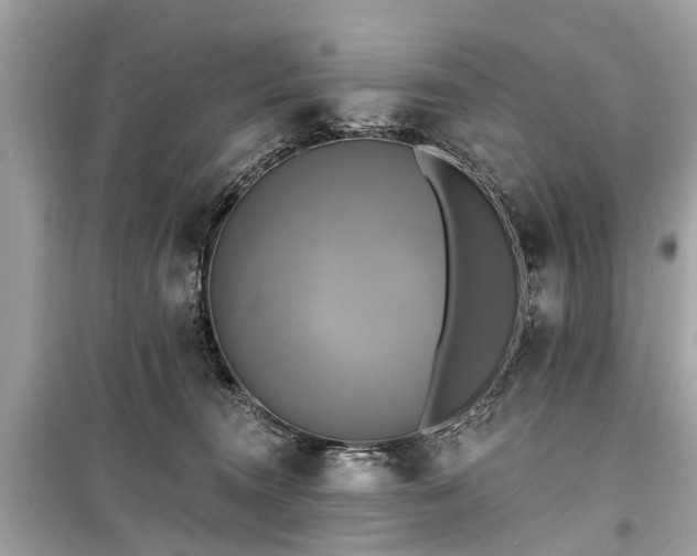 X0000099420372200805161051