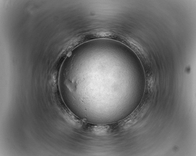X0000099420373200805161051