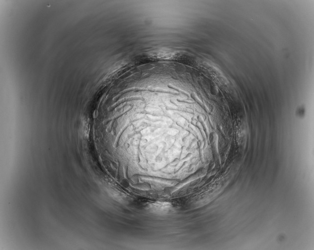X0000099420374200805161051