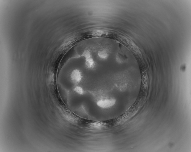 X0000099420375200805161051