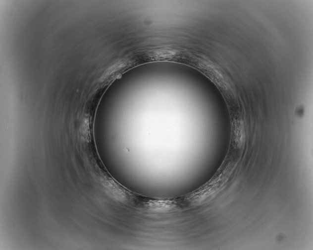 X0000099420378200805161051
