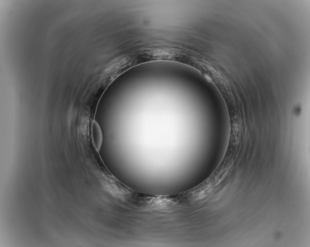 X0000099420379200805161051