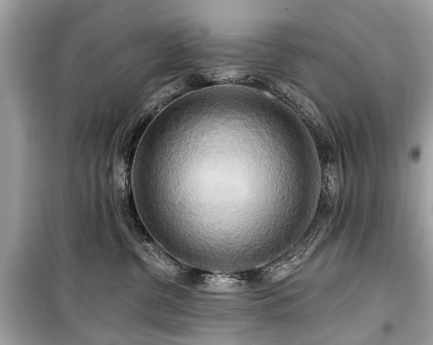 X0000099420380200805161051