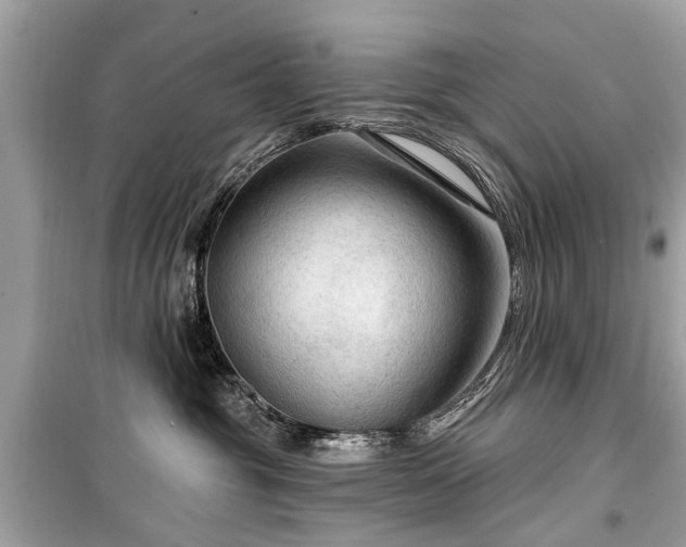 X0000099420381200805161051