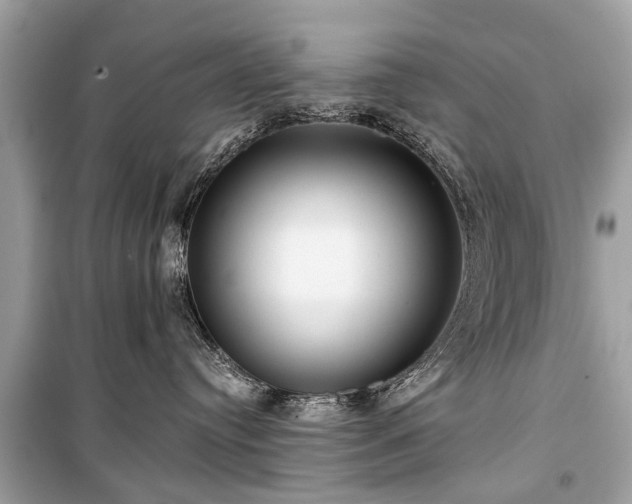 X0000099420384200805161051