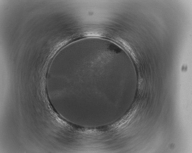 X0000099420385200805161051