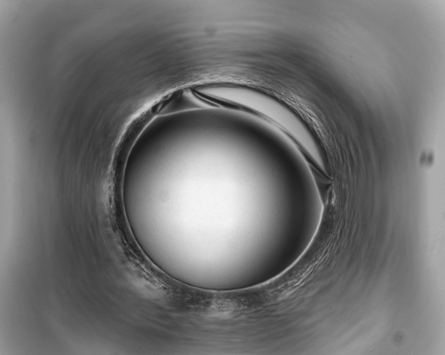X0000099420388200805161051