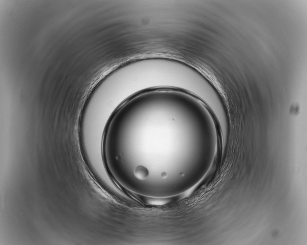 X0000099420389200805161051