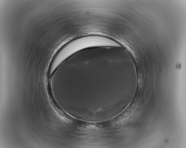 X0000099420390200805161051