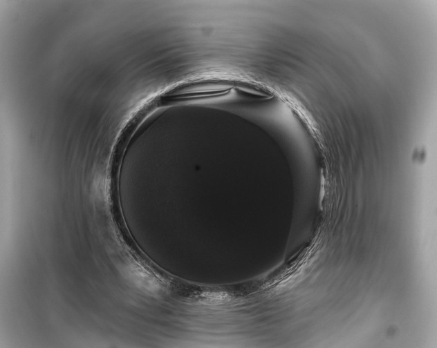 X0000099420391200805161051