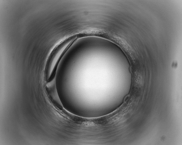 X0000099420392200805161051