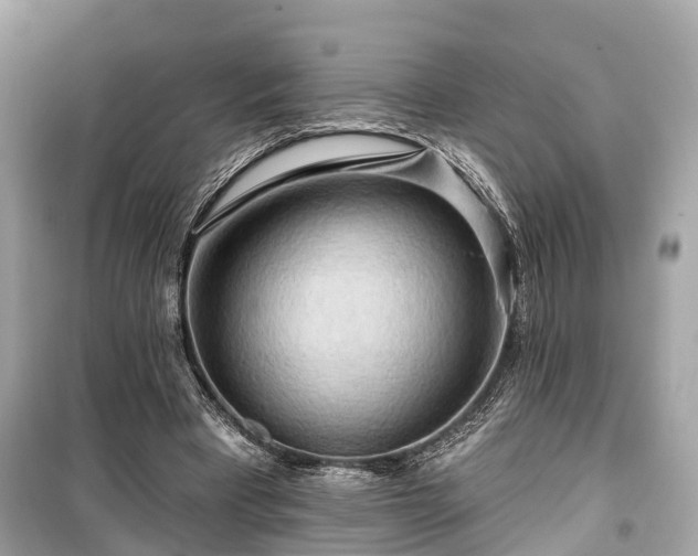 X0000099420393200805161051