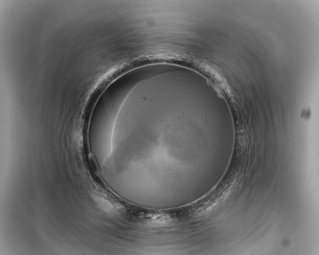 X0000099420395200805161051