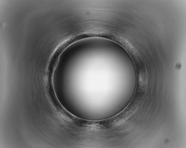 X0000099420396200805161051