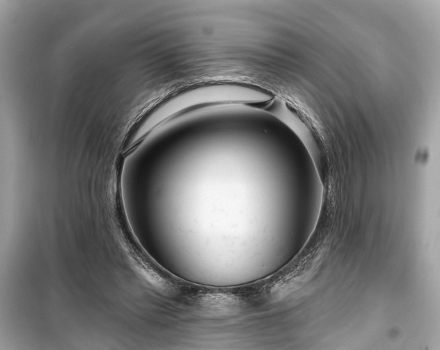 X0000099420397200805161051
