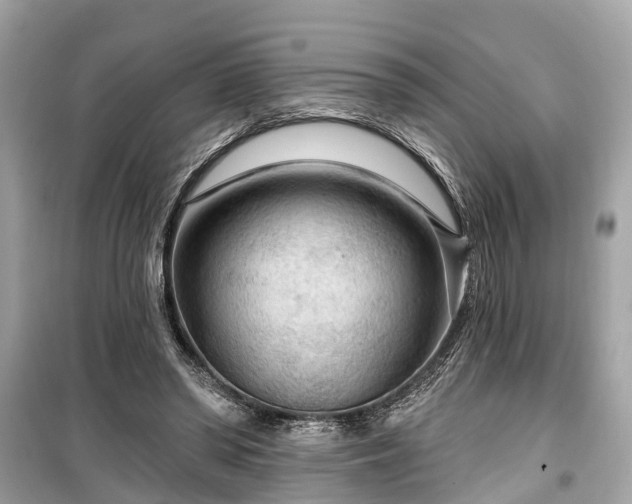 X0000099420398200805161051