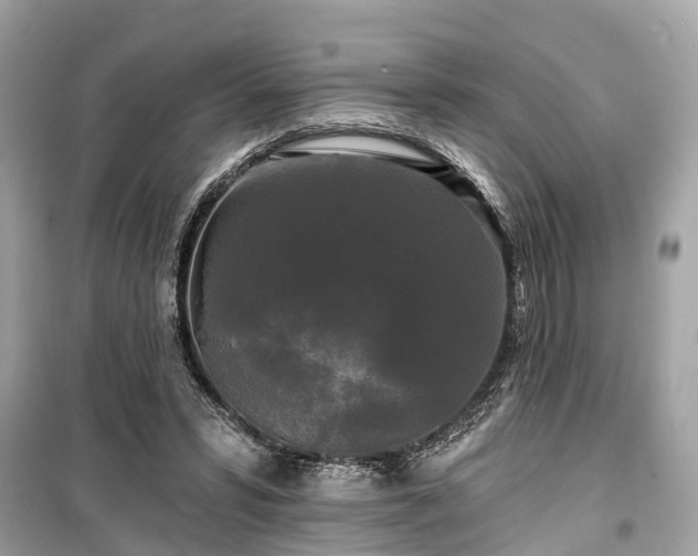 X0000099420399200805161050