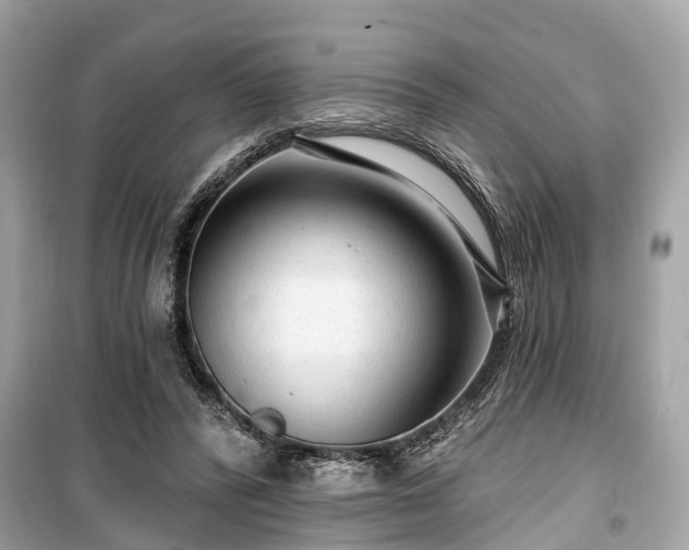 X0000099420400200805161050