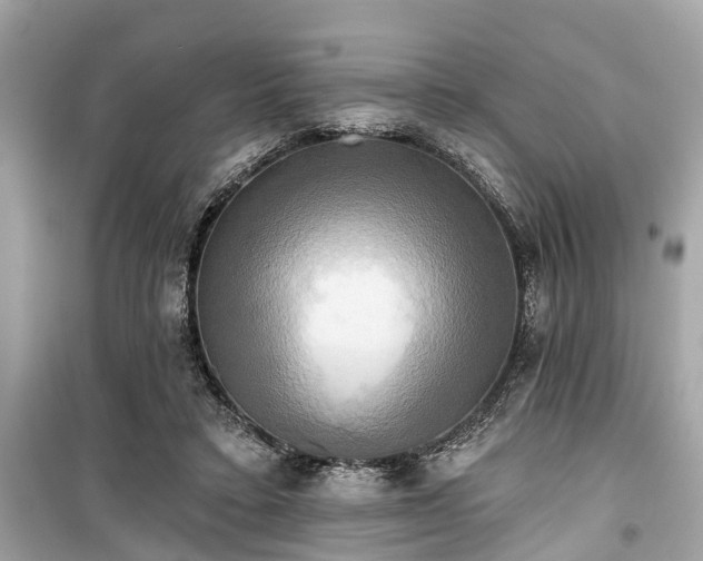 X0000099420403200805161050