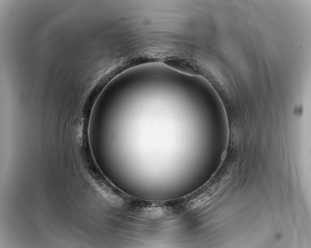 X0000099420404200805161050