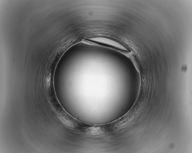 X0000099420406200805161050