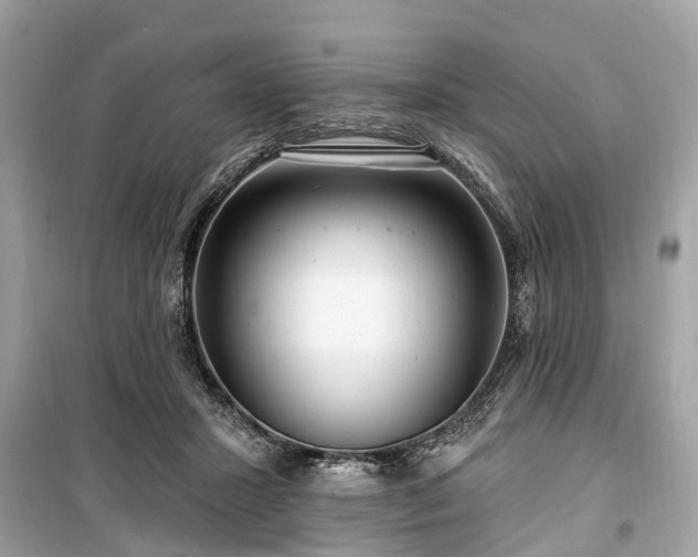X0000099420407200805161050