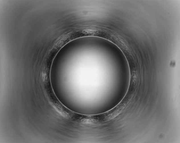 X0000099420408200805161050