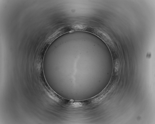 X0000099420409200805161050
