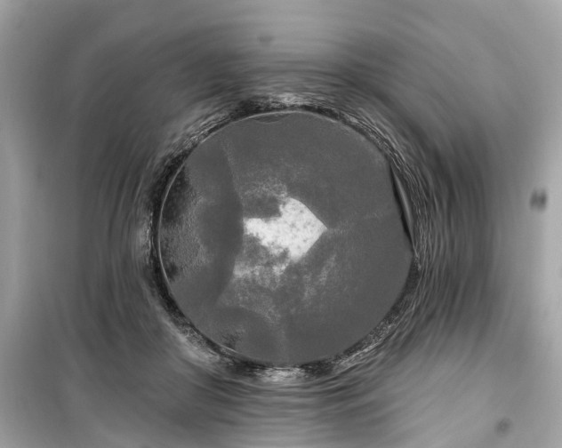 X0000099420410200805161050
