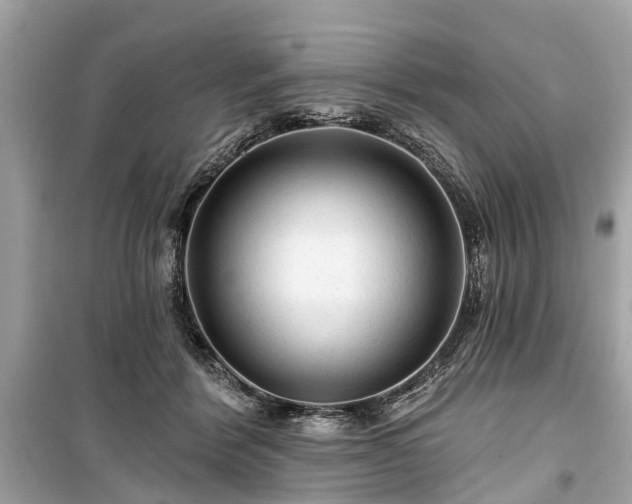 X0000099420412200805161050