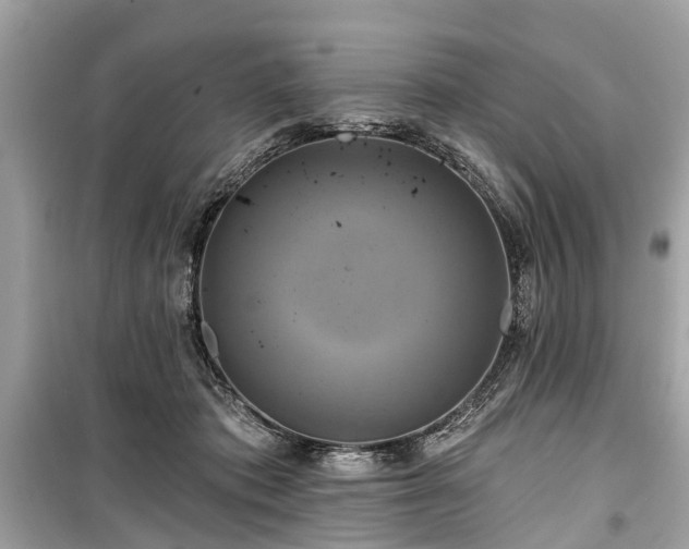 X0000099420413200805161050
