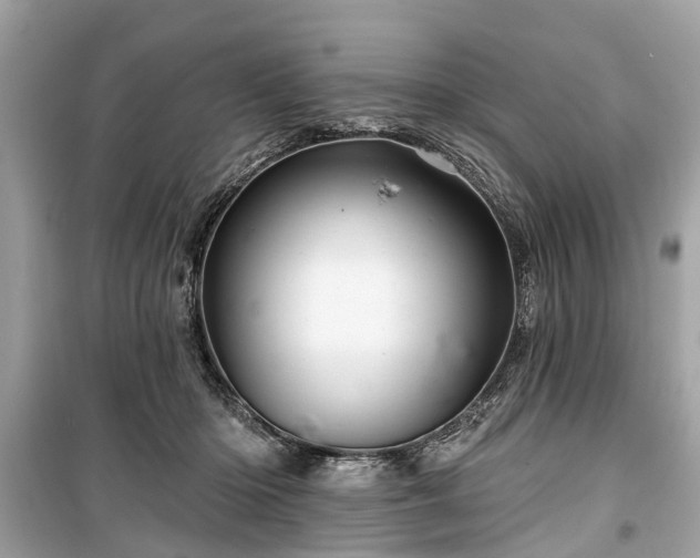 X0000099420414200805161050