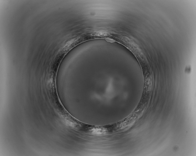 X0000099420415200805161050
