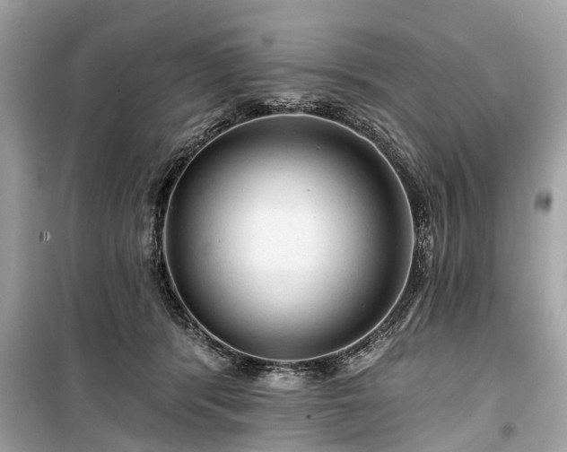 X0000099420416200805161050