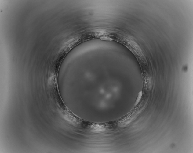 X0000099420419200805161050