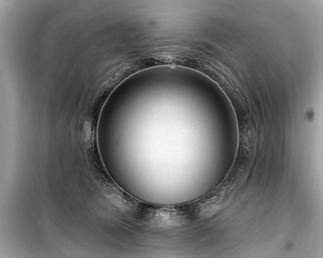 X0000099420420200805161050