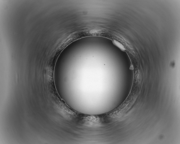 X0000099420421200805161050