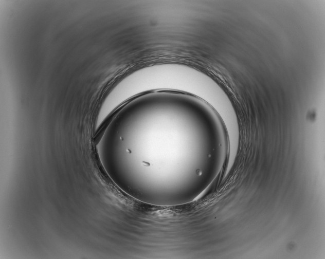 X0000099420423200805161050